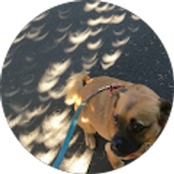 Profile photo of Steven Jett