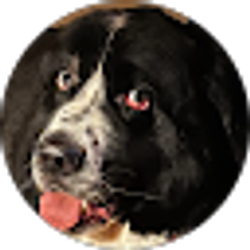 Profile photo of Chae Rice