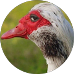 Profile photo of Nathan Wilson