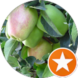 Profile photo of P K