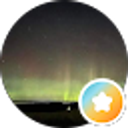 Profile photo of Dropz