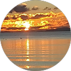 Profile photo of Paula