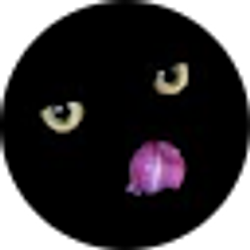 Profile photo of Brenda Sandmaier