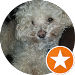 Profile photo of Alexandra Ferut