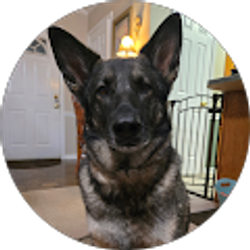 Profile photo of restricted