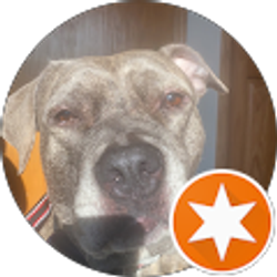 Profile photo of Madison Lee