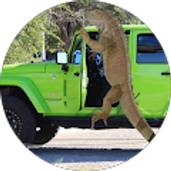 Profile photo of Kat Esparza