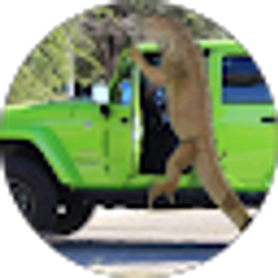 Profile photo of Kat Esparza