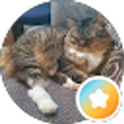 Profile photo of Lisa B