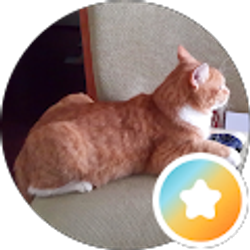 Profile photo of Nebu Pookins