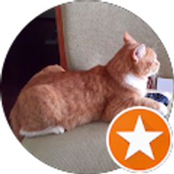 Profile photo of Nebu Pookins