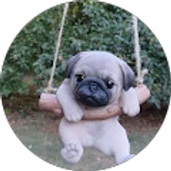 Profile photo of Sharion Warren