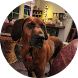 Profile photo of wayne piskin