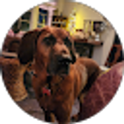 Profile photo of wayne piskin