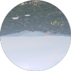 Profile photo of Jaime Ramirez