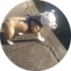 Profile photo of Slovaki Spann