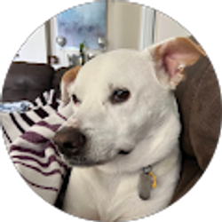 Profile photo of Nikki Jones