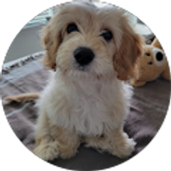 Profile photo of Karen H