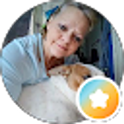 Profile photo of Deb Gardner