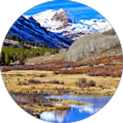 Profile photo of Wyatt Kalapp