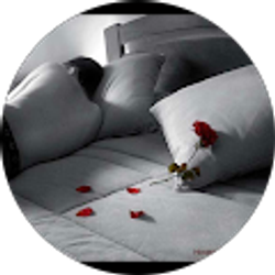 Profile photo of phuc le hong