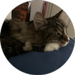 Profile photo of deborah pitcher