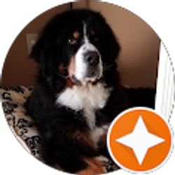 Profile photo of Debbie Colt