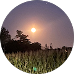 Profile photo of Kristi Jenkins