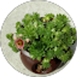 Profile photo of Vickie Mann