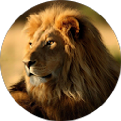 Profile photo of Gabriel Gonzalez