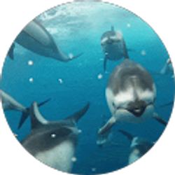 Profile photo of Laura Lucas