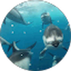 Profile photo of Laura Lucas