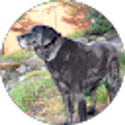 Profile photo of Trvl Mstr