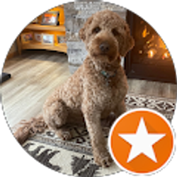 Profile photo of Chris Dorsey