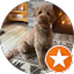 Profile photo of Chris Dorsey