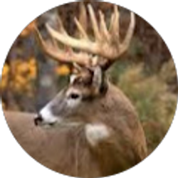 Profile photo of Jeremy Witkowski