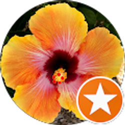 Profile photo of Erika Elfstrom