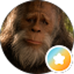 Profile photo of K C