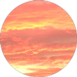 Profile photo of Michael Adele