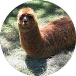 Profile photo of Kamil Dorula