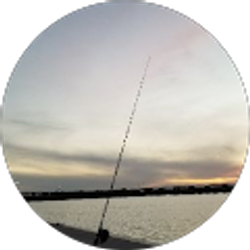 Profile photo of Jesse Castillo