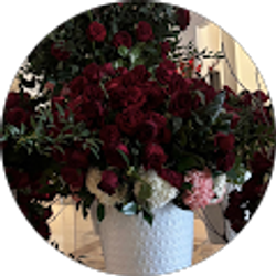 Profile photo of Talia R