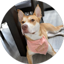 Profile photo of Alberto Mendoza