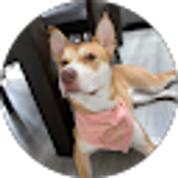 Profile photo of Alberto Mendoza