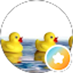 Profile photo of Ash Ducky