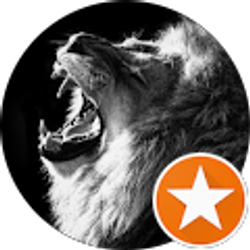 Profile photo of L. HARRIS