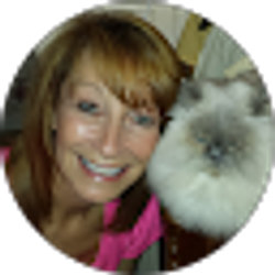 Profile photo of Lisa Grobe