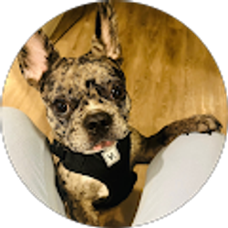 Profile photo of lizandra Darias