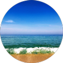 Profile photo of Fungu Tube