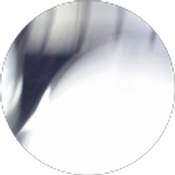 Profile photo of Kristy P.